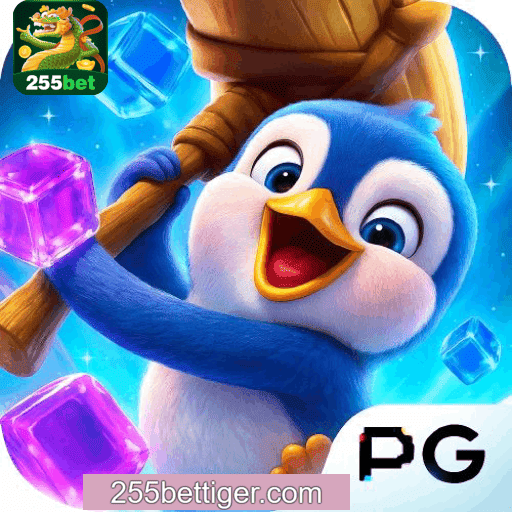 análise apostas 255BET